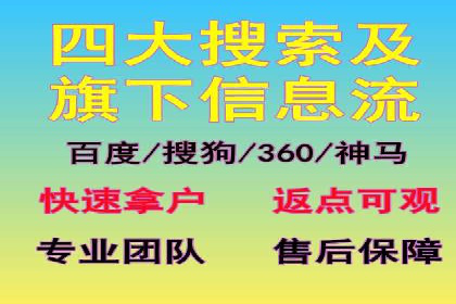 电商平台信息流广告的投放策略与效果评估案例